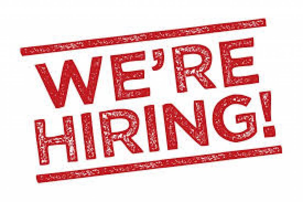 We have a vacancy for an engineering geologist!