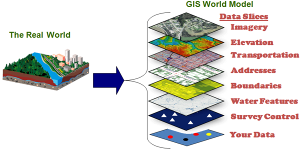 GIS Project